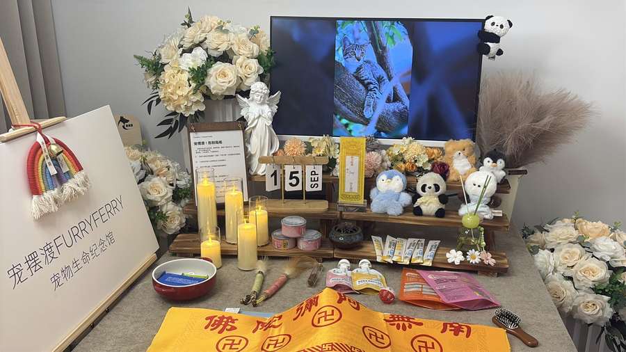 烟台宠物殡葬告别厅实景